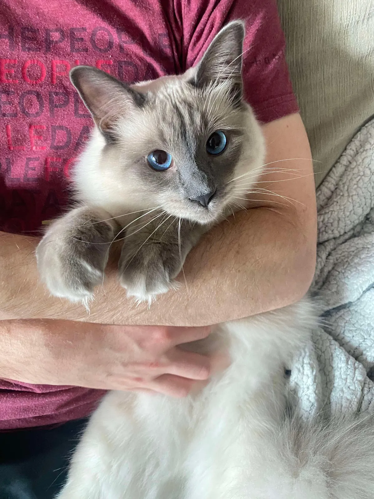 Kitty likes to burrow his face whenever we cuddle