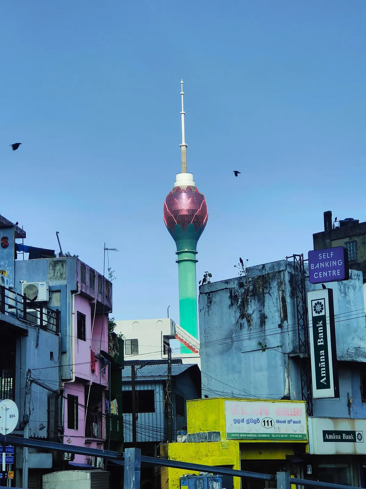 Sri Lanka : sun, tuk-tuks and mild disappointments.