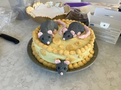 Guys are my rats ok?! They look a little funny…