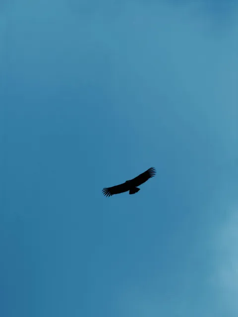 10 days in Carretera Austral, Chile.