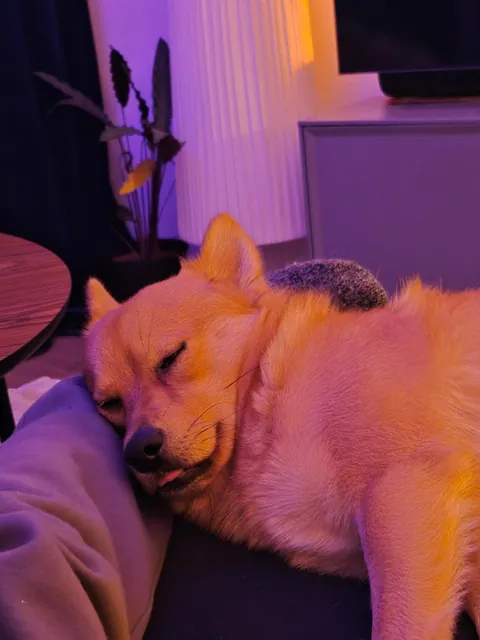 My bestest buddy Felix