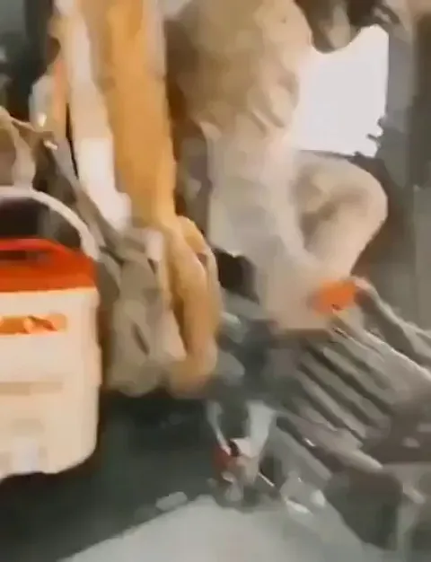 Soldier forgets to strap ladder to helicopter and ends up dropping it