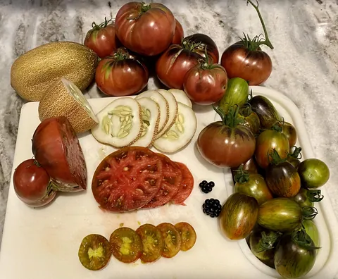 The first time I’ve ever had a harvest worthy of writing home about