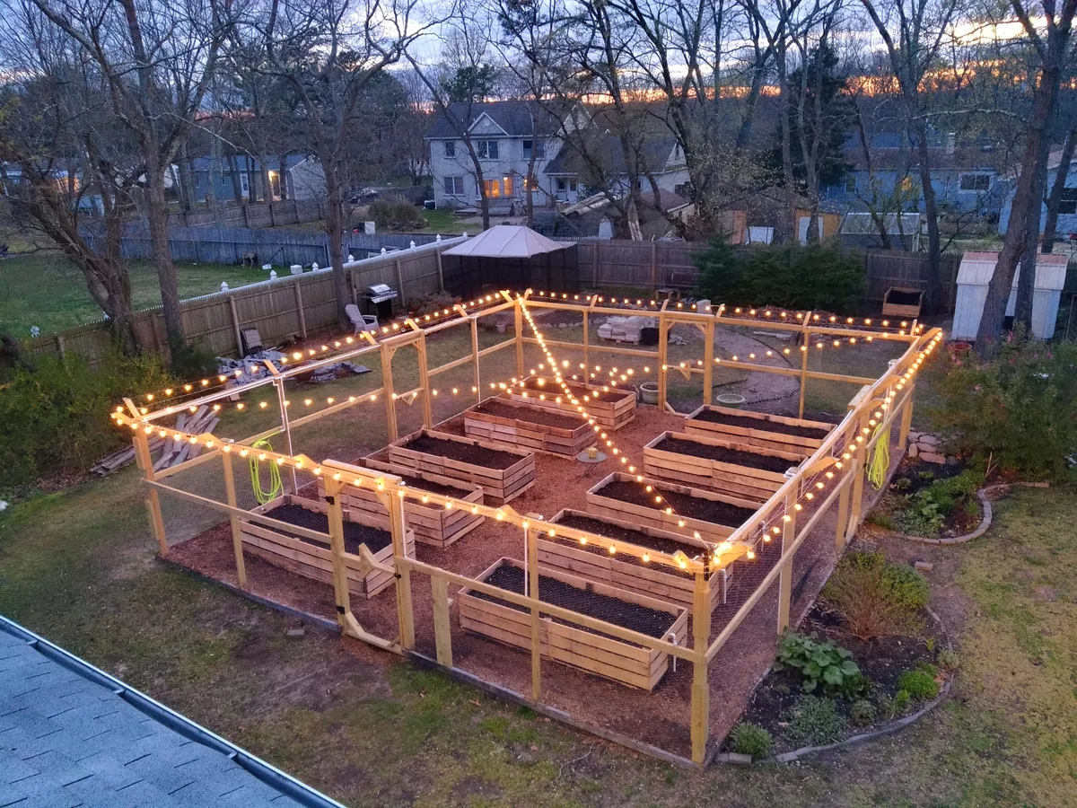 4 years later, our second vegetable garden
