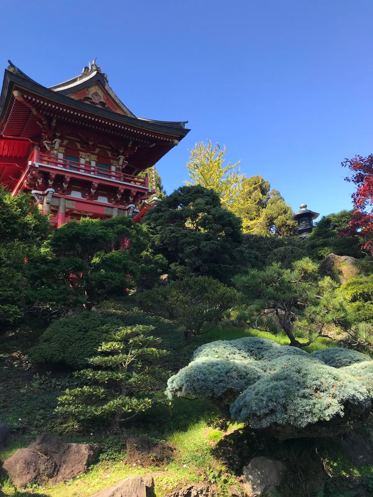 This Japanese garden is a hidden gem in San Francisco