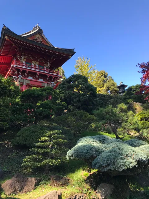 This Japanese garden is a hidden gem in San Francisco