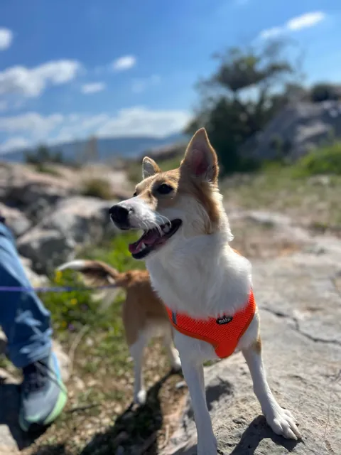 My tiny best friend