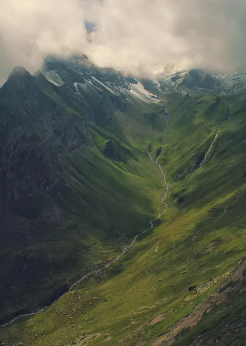 Do you think the image is too dark?