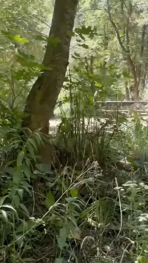 Getting naked at the campground