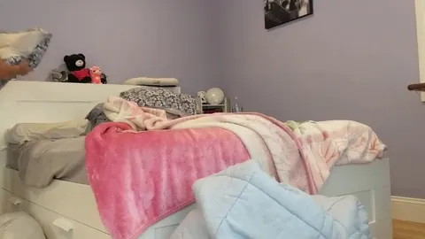 I set up my camera to show how my cat interupts me while I make the bed but somehow that got interupted.