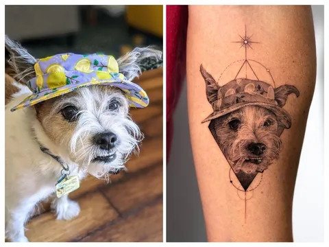 My dog wearing his hat by z9 at Seoul Ink