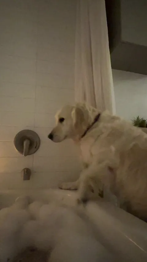 🐕 "don't mind if I do"