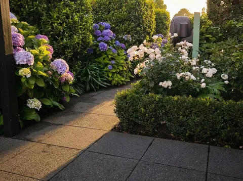 Sunset in Wellington, New Zealand