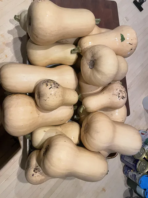 How do I use this much Butternut Squash