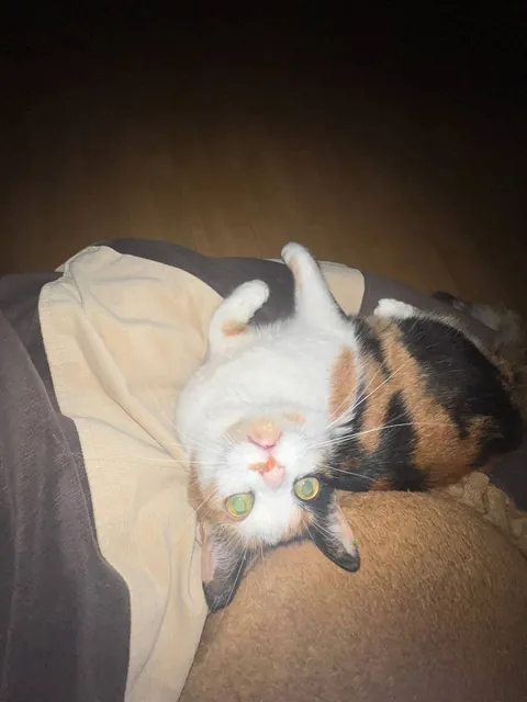 I found her on the street