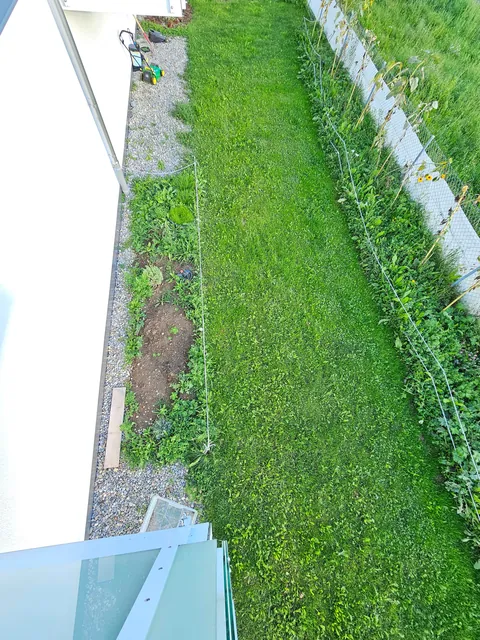 Our landlord said I could do whatever I want with the yard.