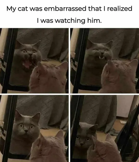 What do you think his doing?