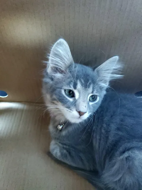 "You won't want to deal with it"