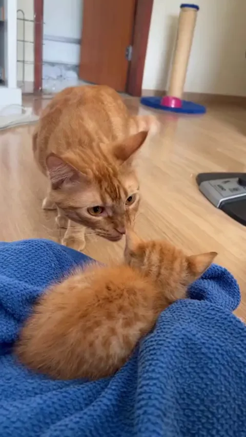 From big brother to best friend