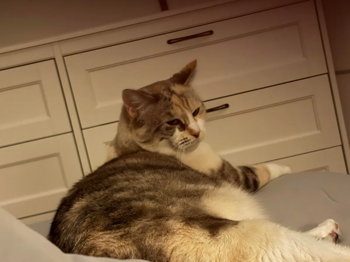 What does my room say about me? 16M