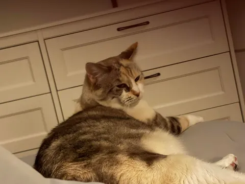 What does my room say about me? 16M