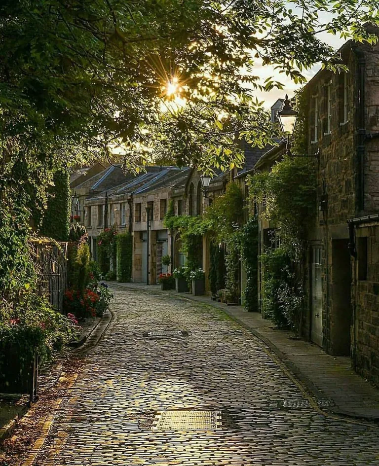 Cozy street in Edinburgh