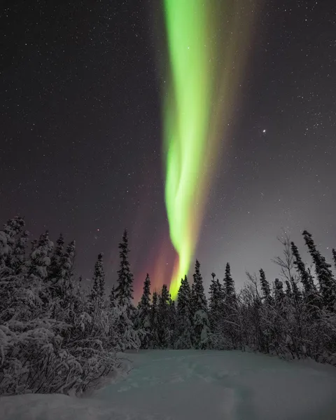 [Aurora in Alaska] Astrophotography has been keeping me alive
