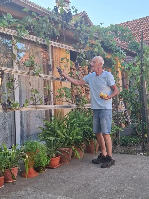 My pumpkin collection and a little vineyard