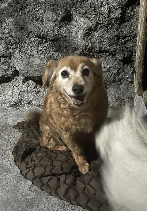 12 years with me ♥️