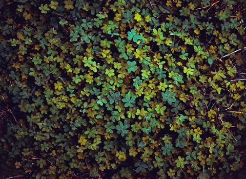 Editing is everything tbh (original in comments)