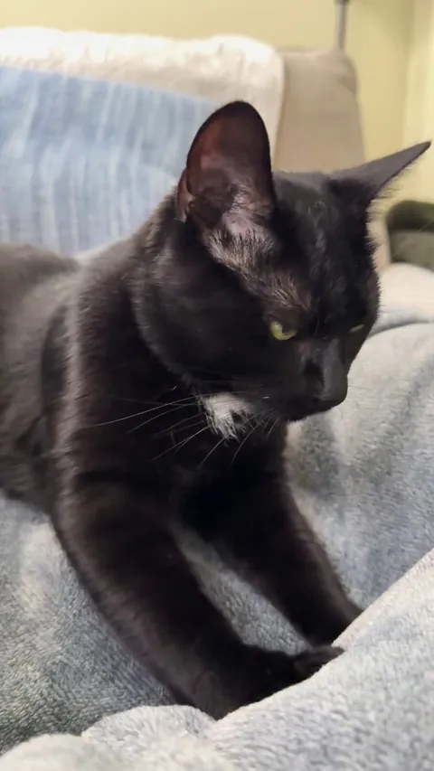 Clocked in for his shift