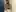 I have a naughty surprise for you, swipe to see it (f)