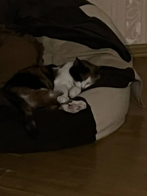 I found her on the street