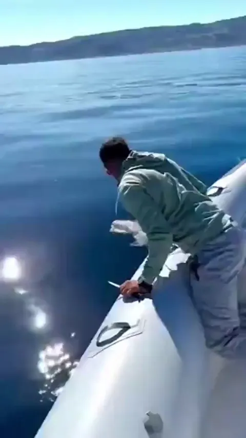 A truly meritorious work.