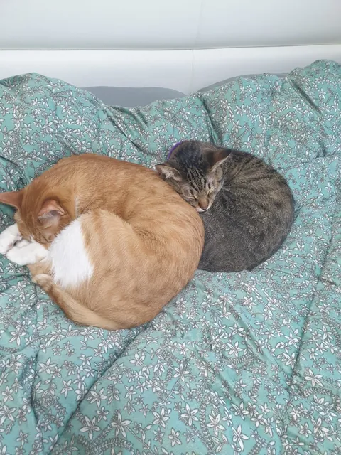 There's no room for me to lie down