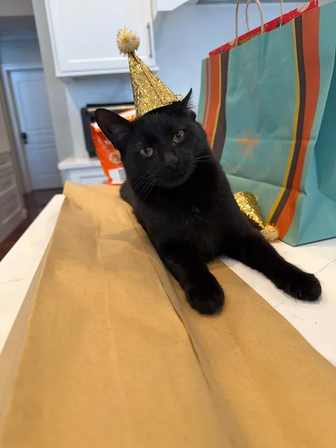 Happy 1st birthday my handsome little man!