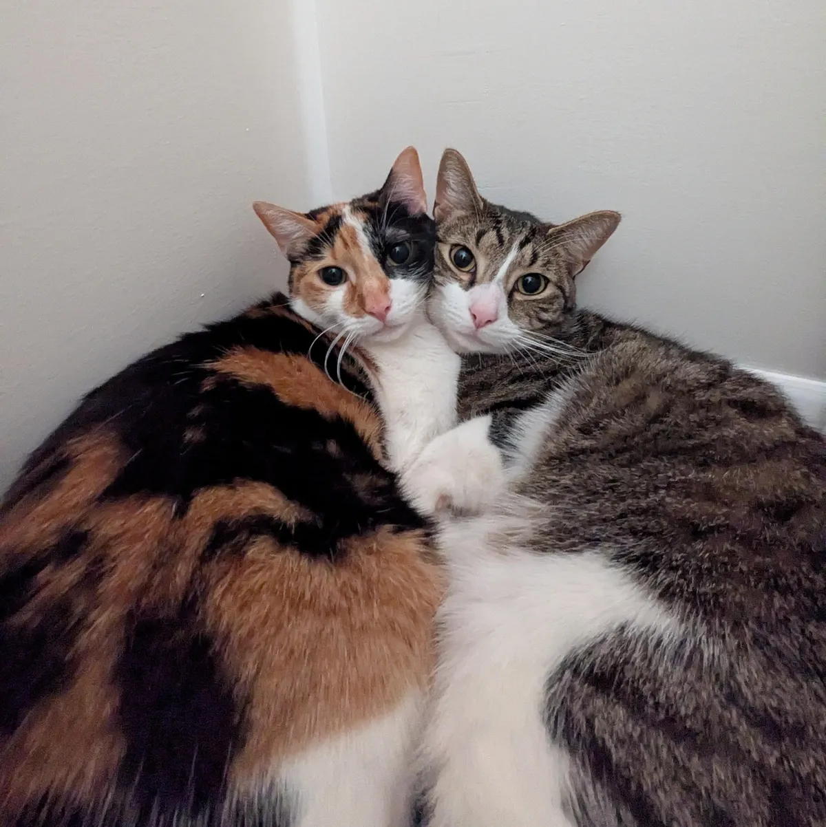 Inseparable brother &amp; sister