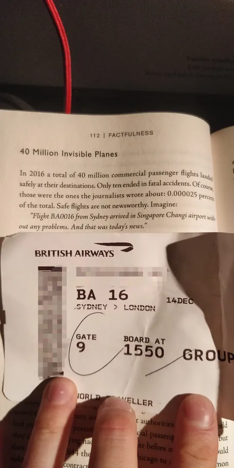The book I was reading on the plane mentioned the flight I was reading it on.