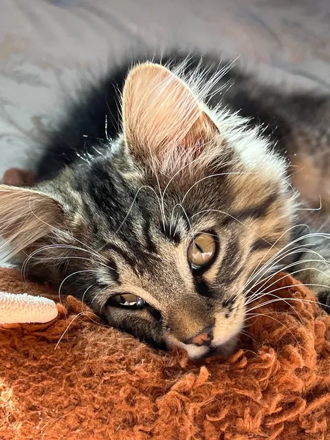 i love her so much, she’s the loml