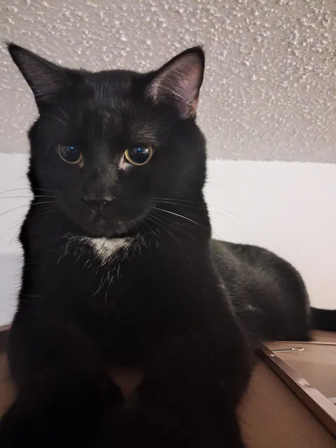 Look at this handsome guy