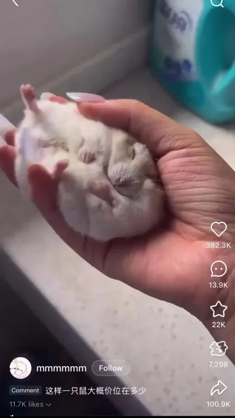 He is enjoying the squishy massage