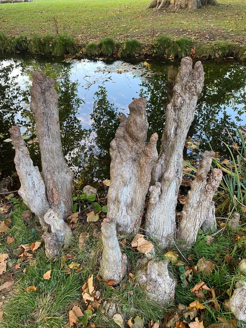 Can anyone explain what these are please?