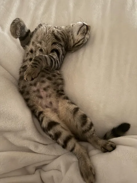 Just a beautiful baby