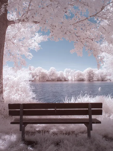 [OC] My first attempt in infrared photography