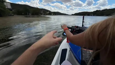 Juliakins attacked by swan!