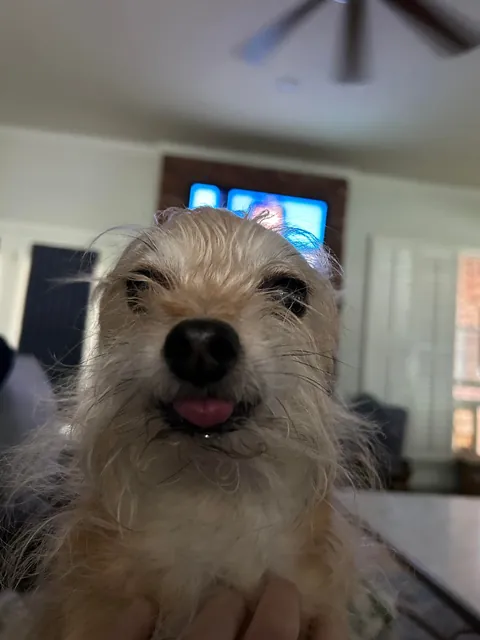 Evan! The most special little guy