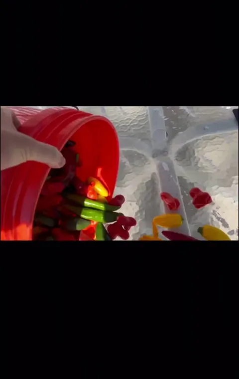 Had to get creative with my leftover peppers before the freeze. 