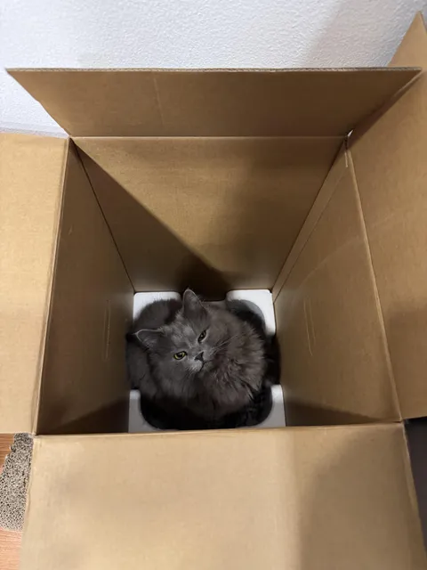 How do I get my cat to stop getting into this box? (Serious)