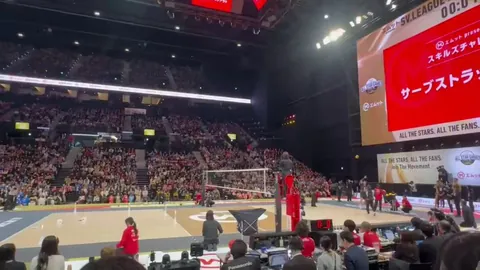 The best apology you will see today