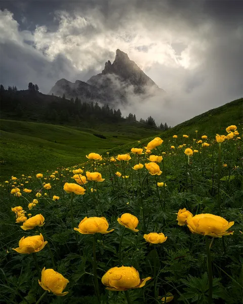 Summer in the Dolomites, Italy [OC][1080x1350]